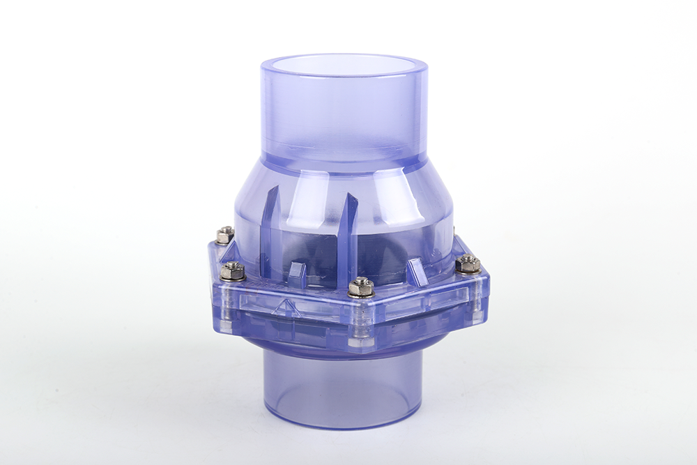 遂川透明翻板式止回阀